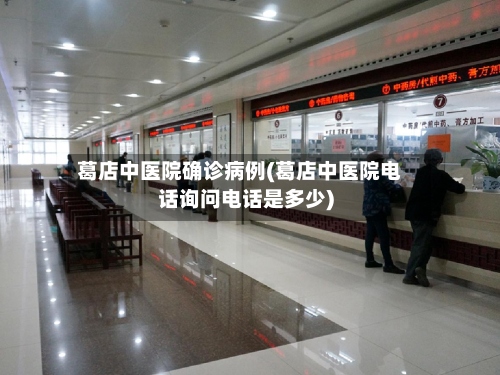 葛店中医院确诊病例(葛店中医院电话询问电话是多少)-第2张图片
