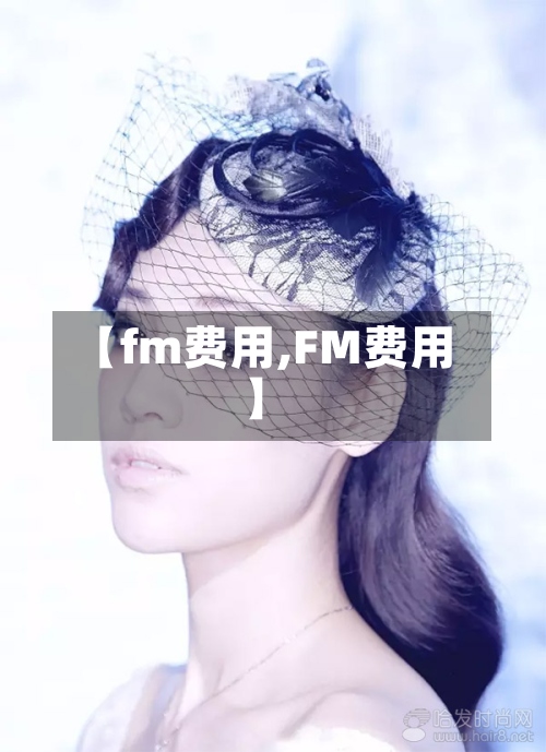 【fm费用,FM费用】