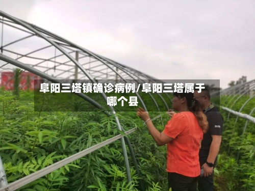 阜阳三塔镇确诊病例/阜阳三塔属于哪个县