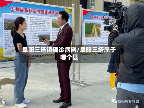 阜阳三塔镇确诊病例/阜阳三塔属于哪个县-第2张图片