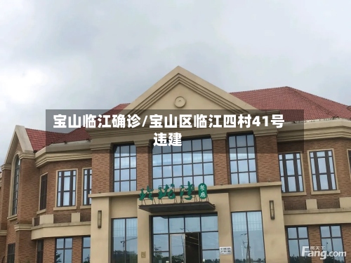 宝山临江确诊/宝山区临江四村41号违建-第3张图片