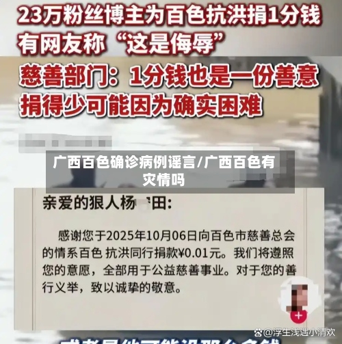 广西百色确诊病例谣言/广西百色有灾情吗