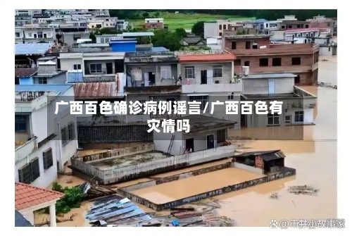 广西百色确诊病例谣言/广西百色有灾情吗-第2张图片