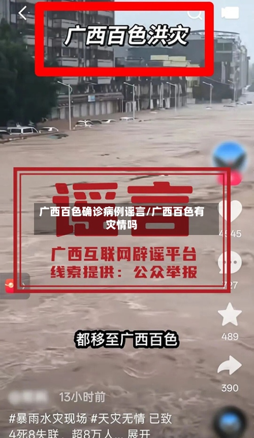 广西百色确诊病例谣言/广西百色有灾情吗-第3张图片