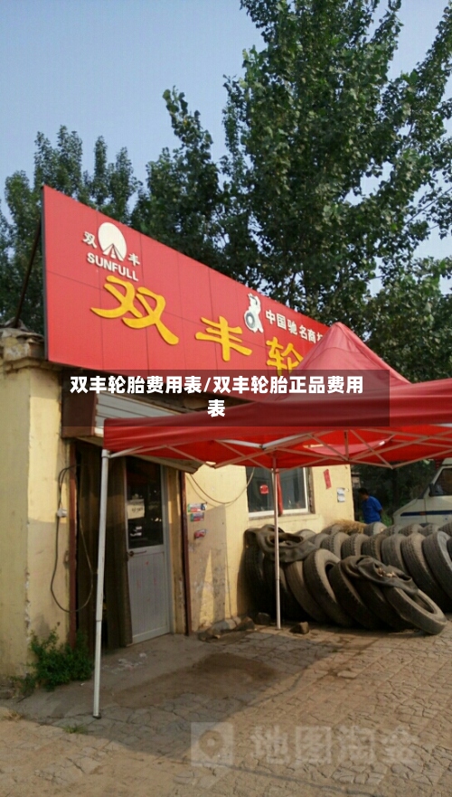双丰轮胎费用表/双丰轮胎正品费用表