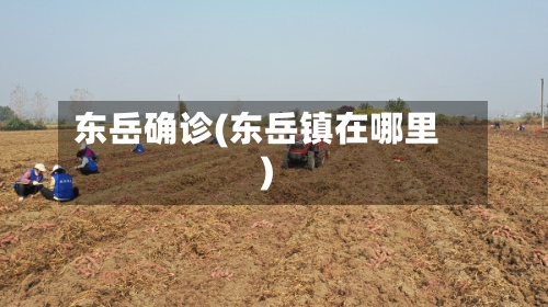 东岳确诊(东岳镇在哪里)