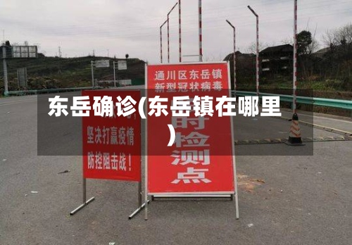 东岳确诊(东岳镇在哪里)-第2张图片