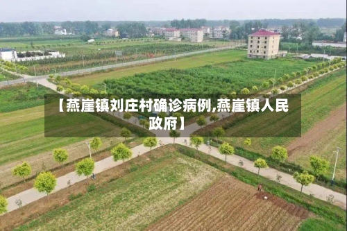 【燕崖镇刘庄村确诊病例,燕崖镇人民政府】