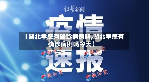 【湖北孝感有确诊病例吗,湖北孝感有确诊病例吗今天】