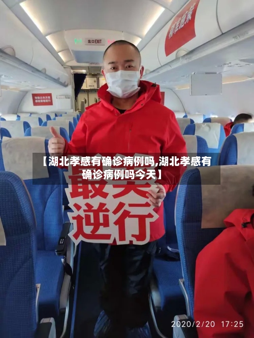 【湖北孝感有确诊病例吗,湖北孝感有确诊病例吗今天】-第2张图片