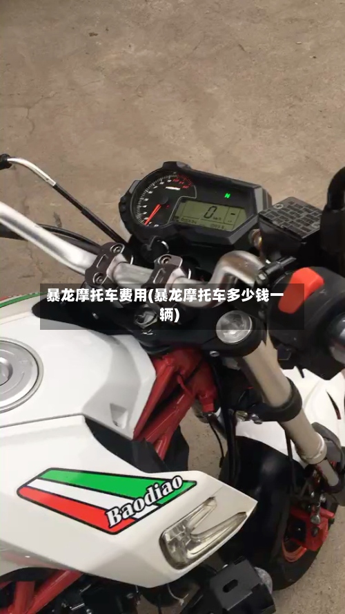 暴龙摩托车费用(暴龙摩托车多少钱一辆)