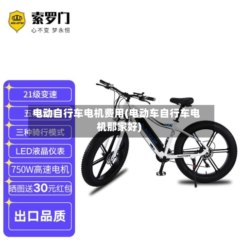 电动自行车电机费用(电动车自行车电机那家好)