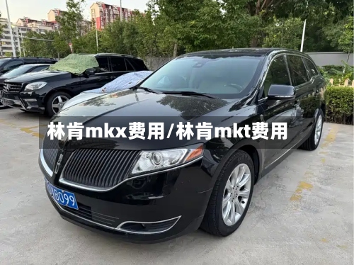 林肯mkx费用/林肯mkt费用-第2张图片