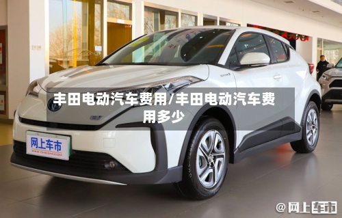 丰田电动汽车费用/丰田电动汽车费用多少-第2张图片