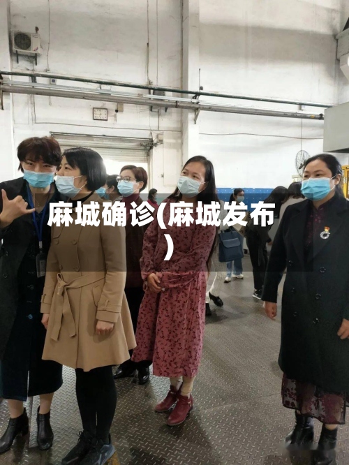 麻城确诊(麻城发布)