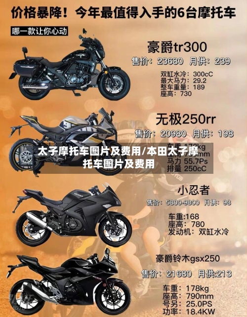 太子摩托车图片及费用/本田太子摩托车图片及费用