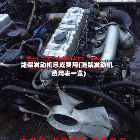 潍柴发动机总成费用(潍柴发动机费用表一览)