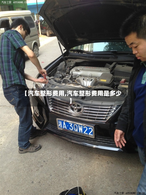 【汽车整形费用,汽车整形费用是多少】
