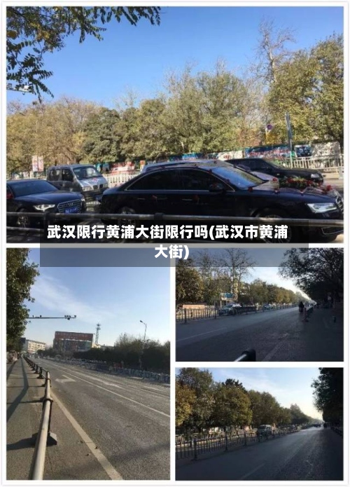 武汉限行黄浦大街限行吗(武汉市黄浦大街)-第3张图片