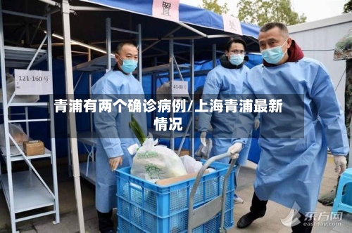 青浦有两个确诊病例/上海青浦最新情况-第2张图片