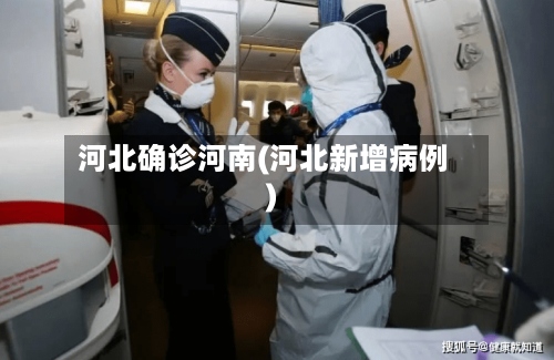 河北确诊河南(河北新增病例)-第3张图片