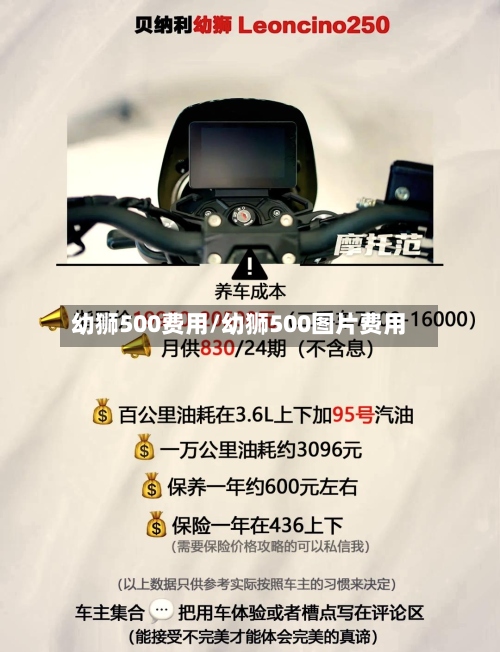 幼狮500费用/幼狮500图片费用-第2张图片