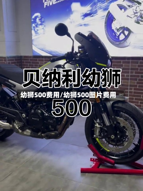 幼狮500费用/幼狮500图片费用-第3张图片