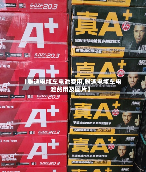 【雅迪电瓶车电池费用,雅迪电瓶车电池费用及图片】-第2张图片