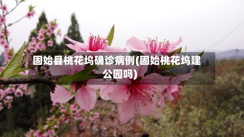 固始县桃花坞确诊病例(固始桃花坞建公园吗)-第3张图片