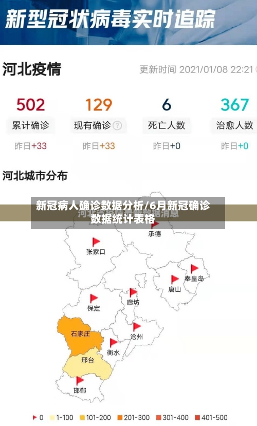 新冠病人确诊数据分析/6月新冠确诊数据统计表格