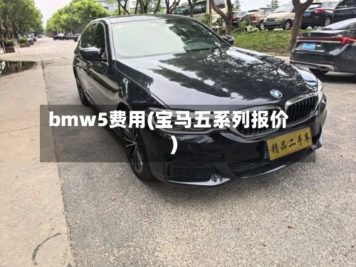 bmw5费用(宝马五系列报价)
