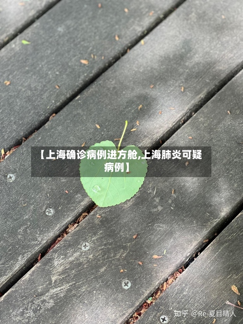 【上海确诊病例进方舱,上海肺炎可疑病例】