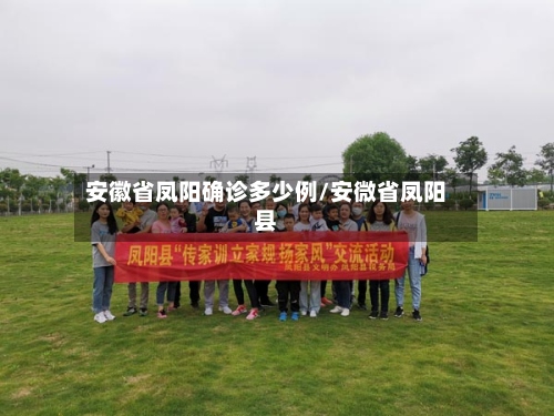 安徽省凤阳确诊多少例/安微省凤阳县