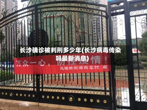 长沙确诊被判刑多少年(长沙病毒传染吗最新消息)-第3张图片