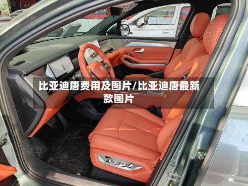 比亚迪唐费用及图片/比亚迪唐最新款图片-第2张图片