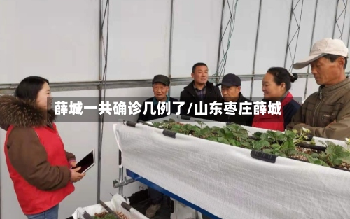 薛城一共确诊几例了/山东枣庄薛城
