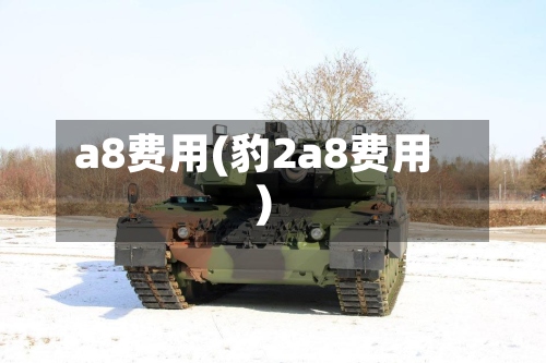 a8费用(豹2a8费用)