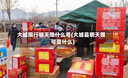 大城限行明天限什么号(大城县明天限号是什么)