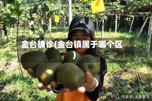金台确诊(金台镇属于哪个区)-第3张图片