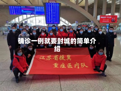 确诊一例就要封城的简单介绍-第3张图片