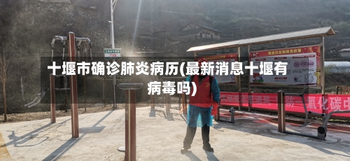 十堰市确诊肺炎病历(最新消息十堰有病毒吗)-第2张图片