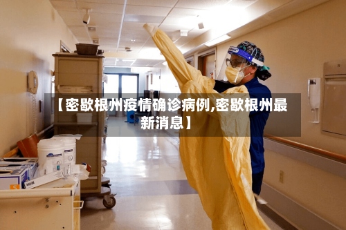 【密歇根州疫情确诊病例,密歇根州最新消息】-第2张图片