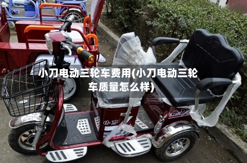 小刀电动三轮车费用(小刀电动三轮车质量怎么样)-第2张图片
