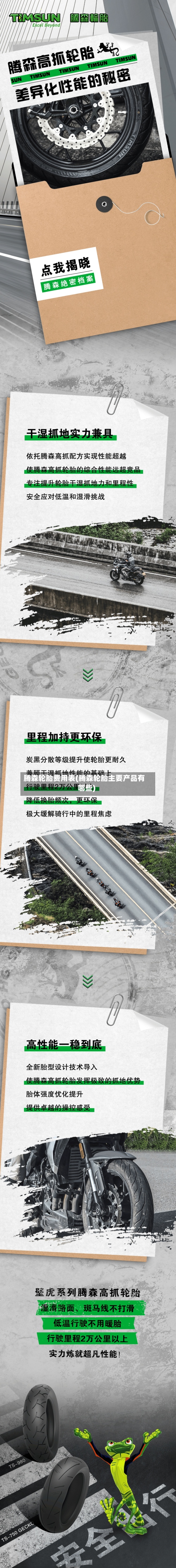 腾森轮胎费用表(腾森轮胎主要产品有哪些)-第2张图片
