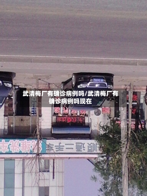 武清梅厂有确诊病例吗/武清梅厂有确诊病例吗现在-第2张图片