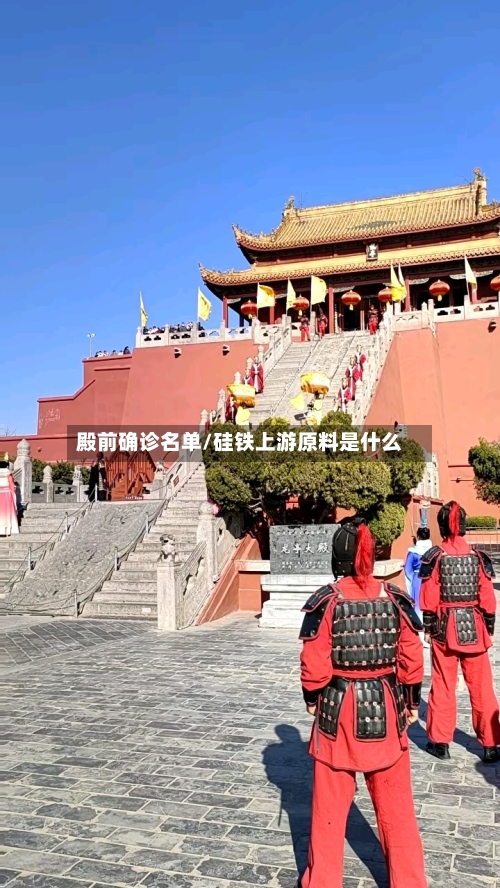 殿前确诊名单/硅铁上游原料是什么