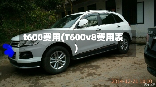 t600费用(T600v8费用表)
