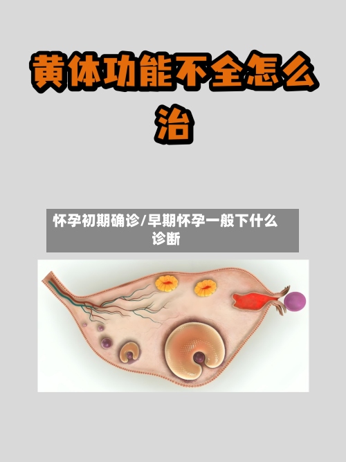怀孕初期确诊/早期怀孕一般下什么诊断-第3张图片