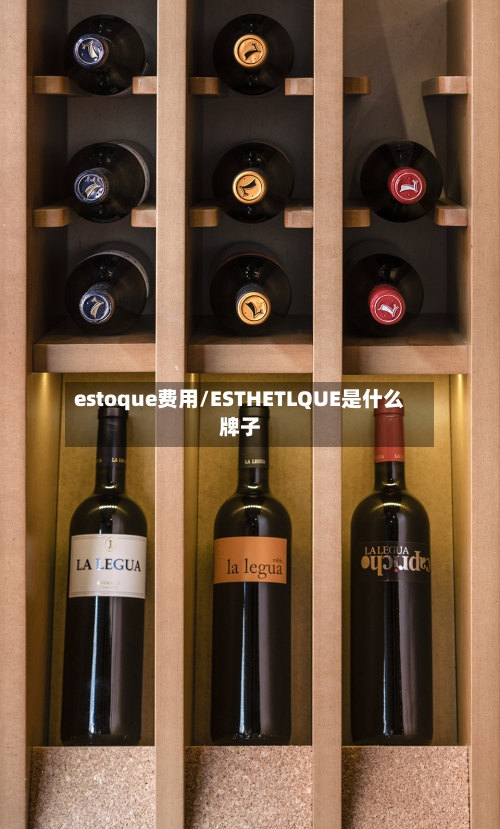 estoque费用/ESTHETLQUE是什么牌子-第3张图片