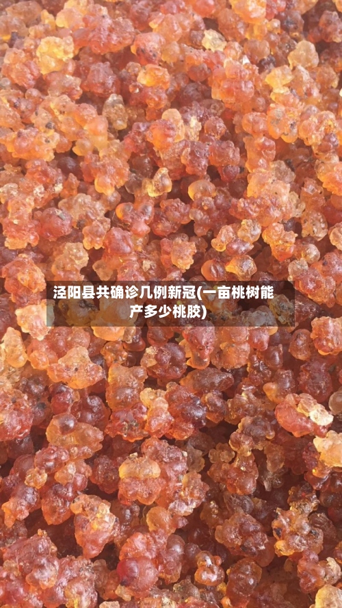 泾阳县共确诊几例新冠(一亩桃树能产多少桃胶)-第3张图片